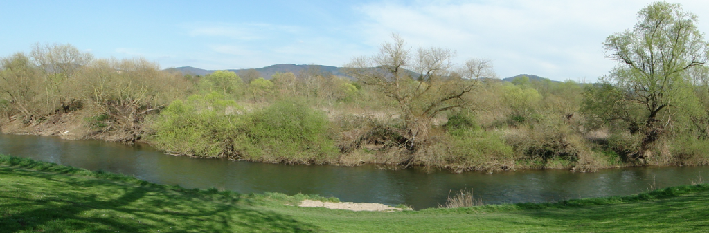 Sichtbar ein kleines Teilstück des Flusses im Naturschutzgebietes, in der Ferne der Odenwald...