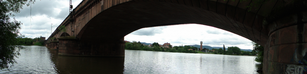Brücke für den Fern- und Nahverkehr der DB AG, inclusive Radweg zwischen Ladenburg und Neckarhausen