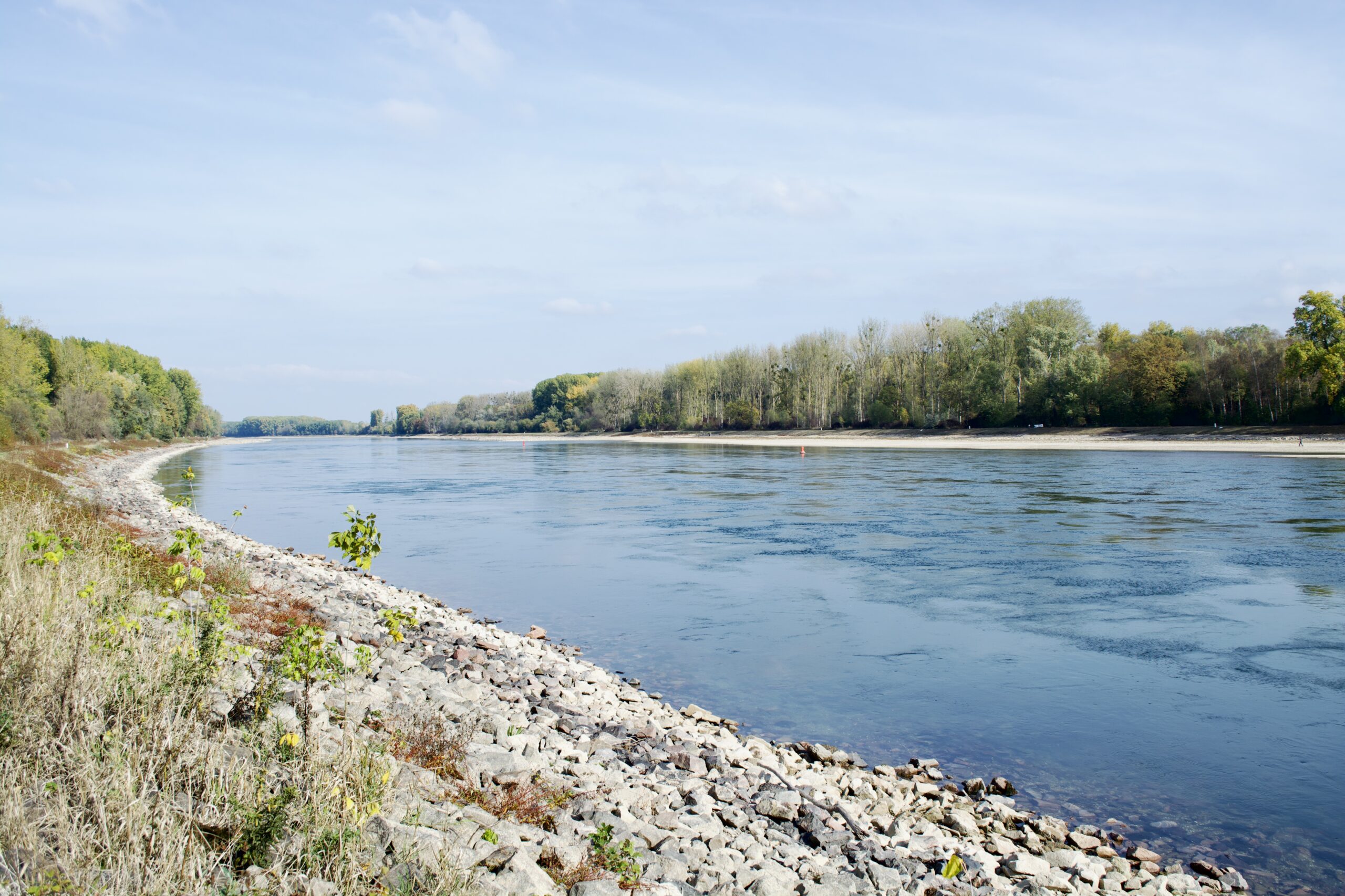 RHEIN – Niedrigwasser